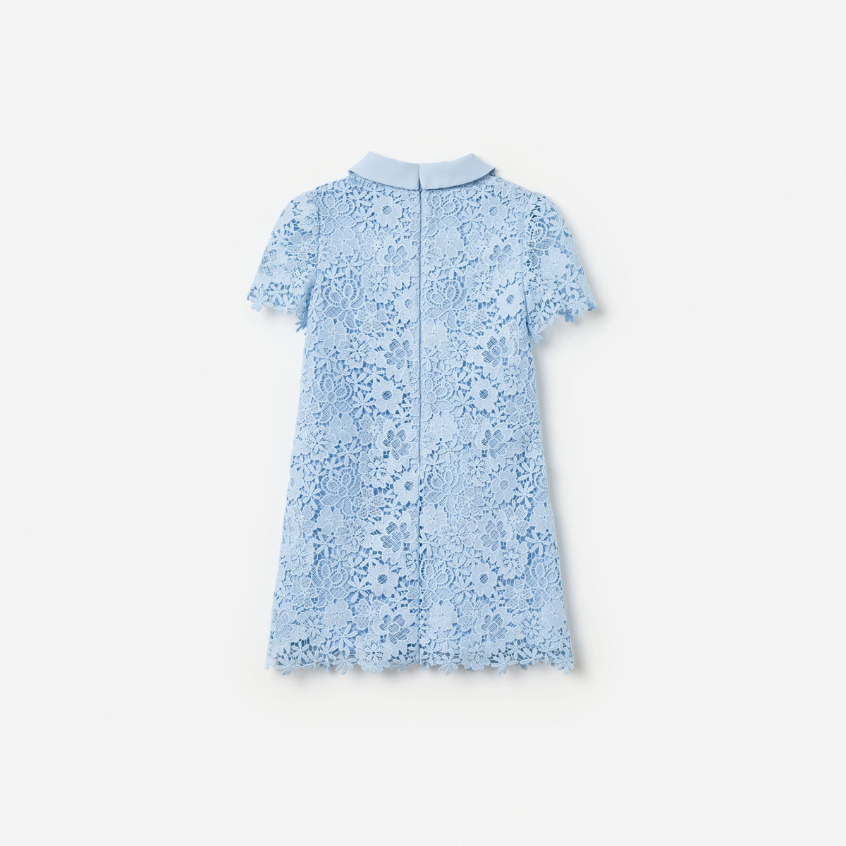 Blue Lace Bow Collar Dress