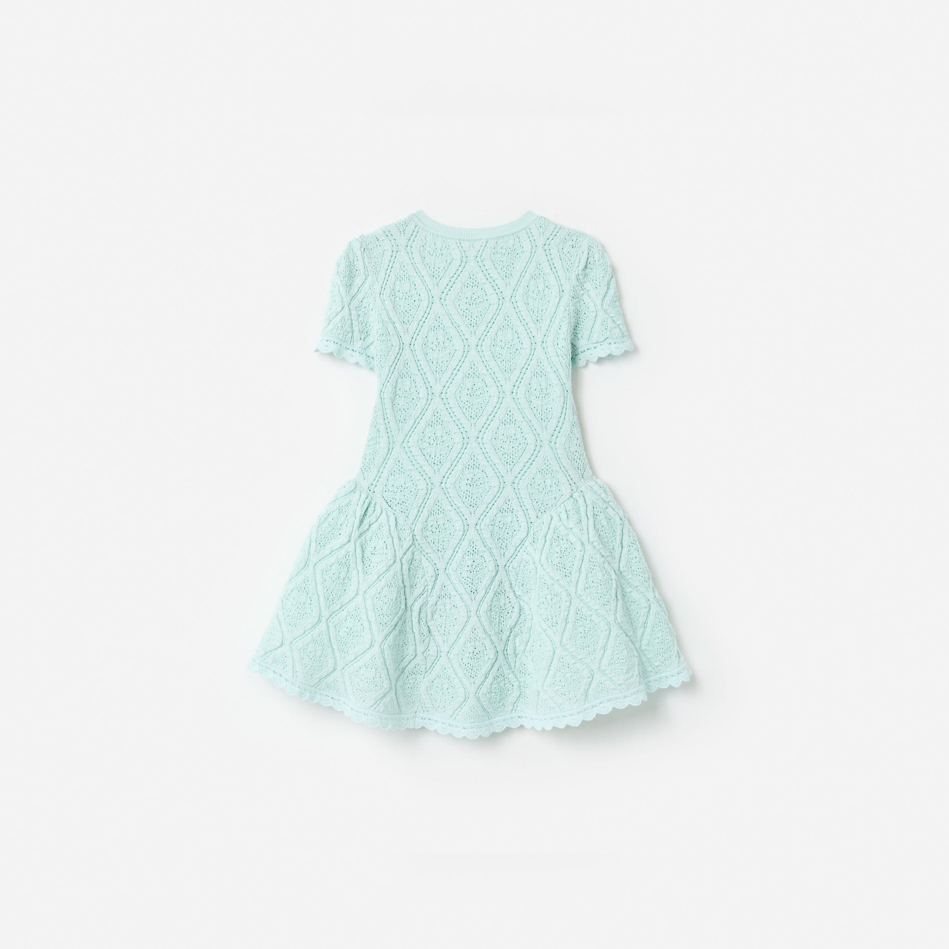Mint Flower Embroidered Knit Dress