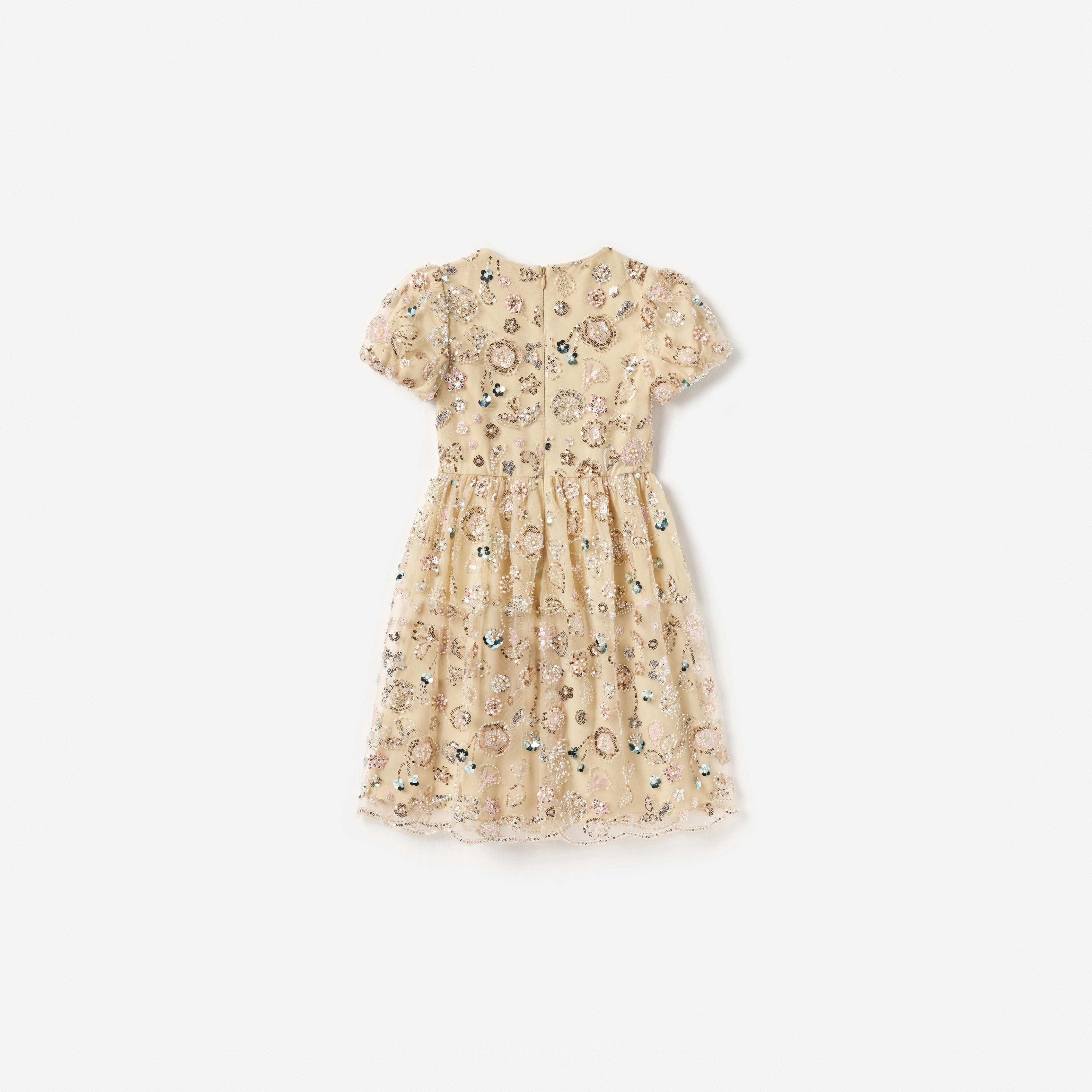 Champagne Sequin Embroidered Dress