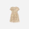 Champagne Sequin Embroidered Dress