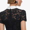 Black Lace Contrast Collar Midi Dress