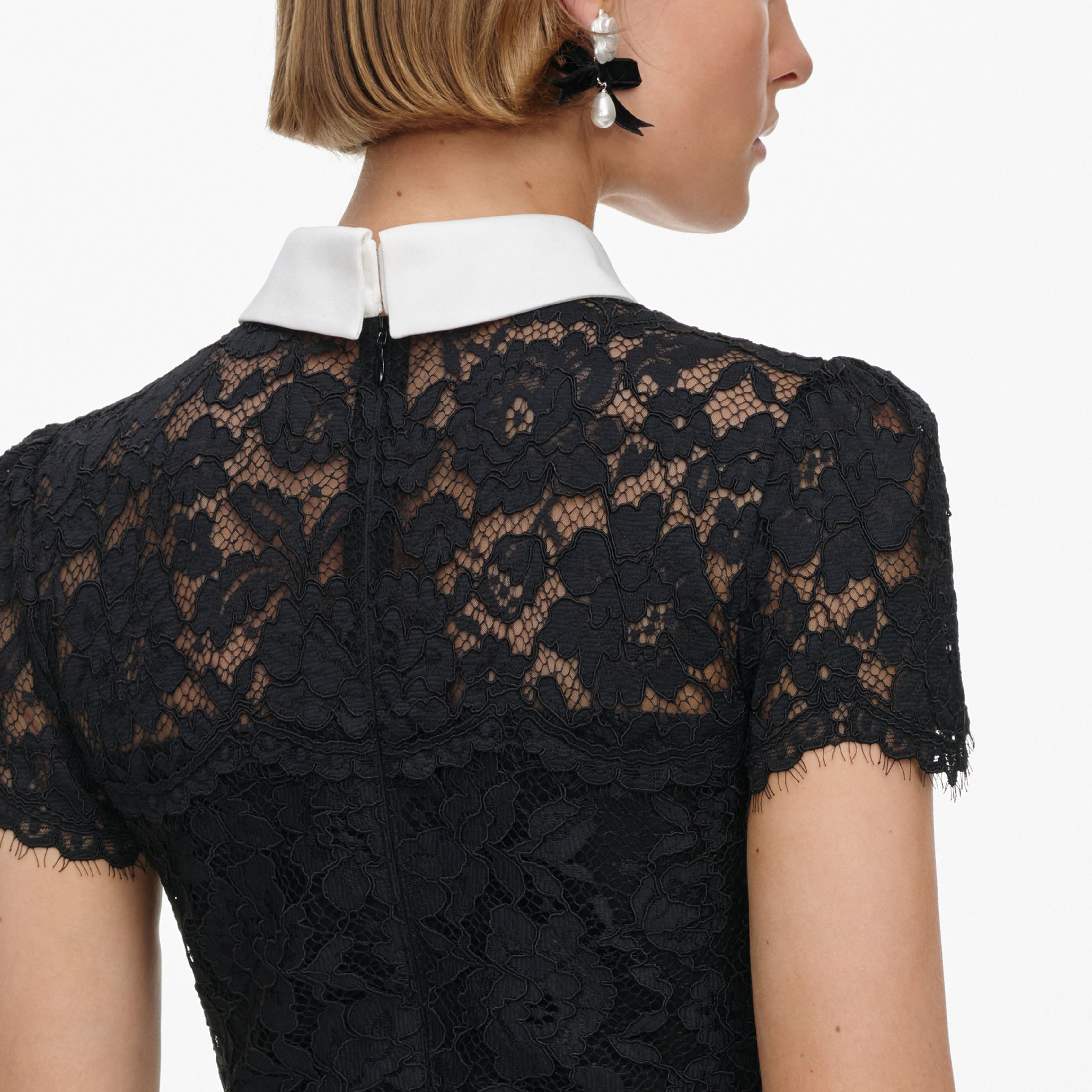 Black Lace Contrast Collar Midi Dress