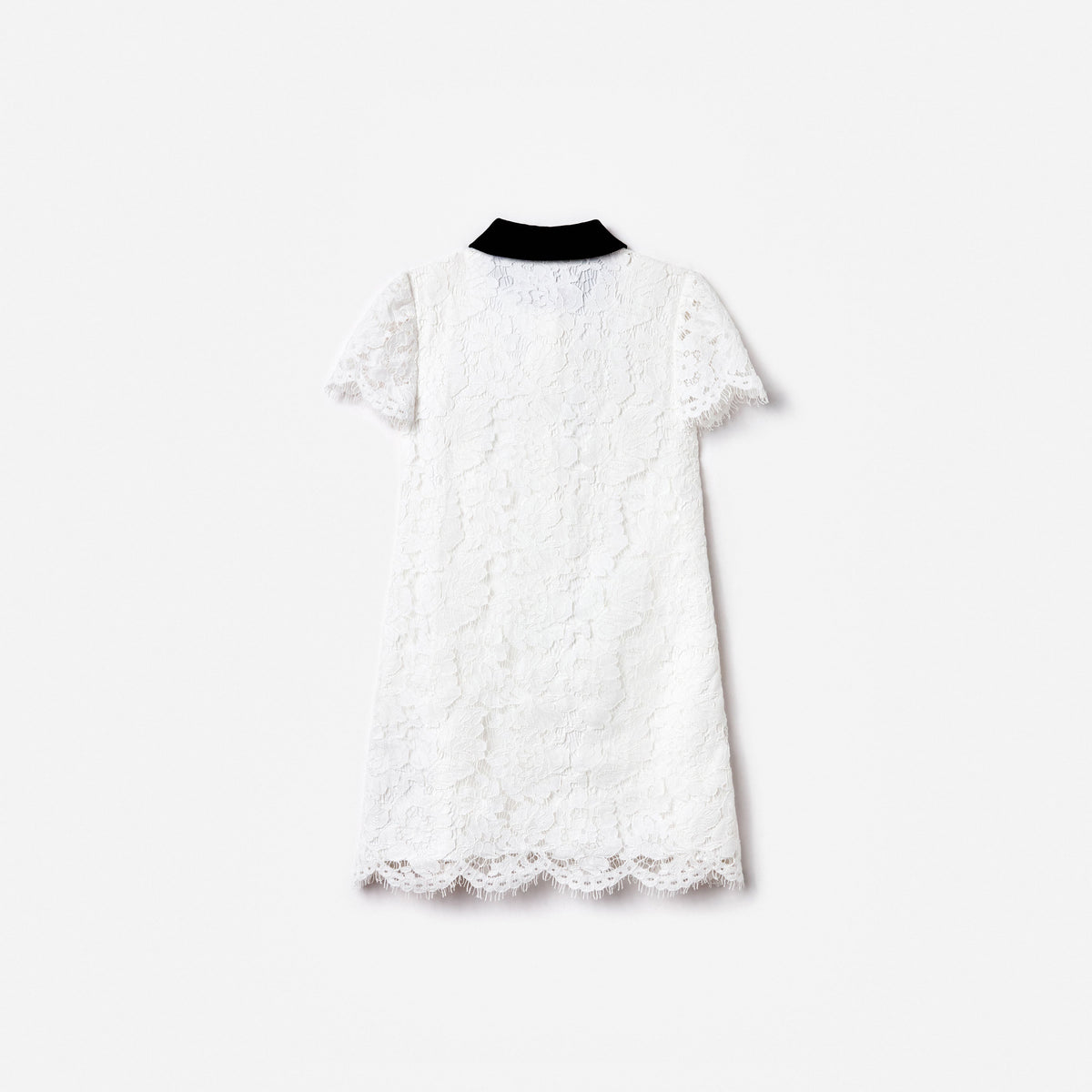 White Lace Contrast Collar Dress – self-portrait-US