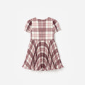Burgundy Check Print Chiffon Dress