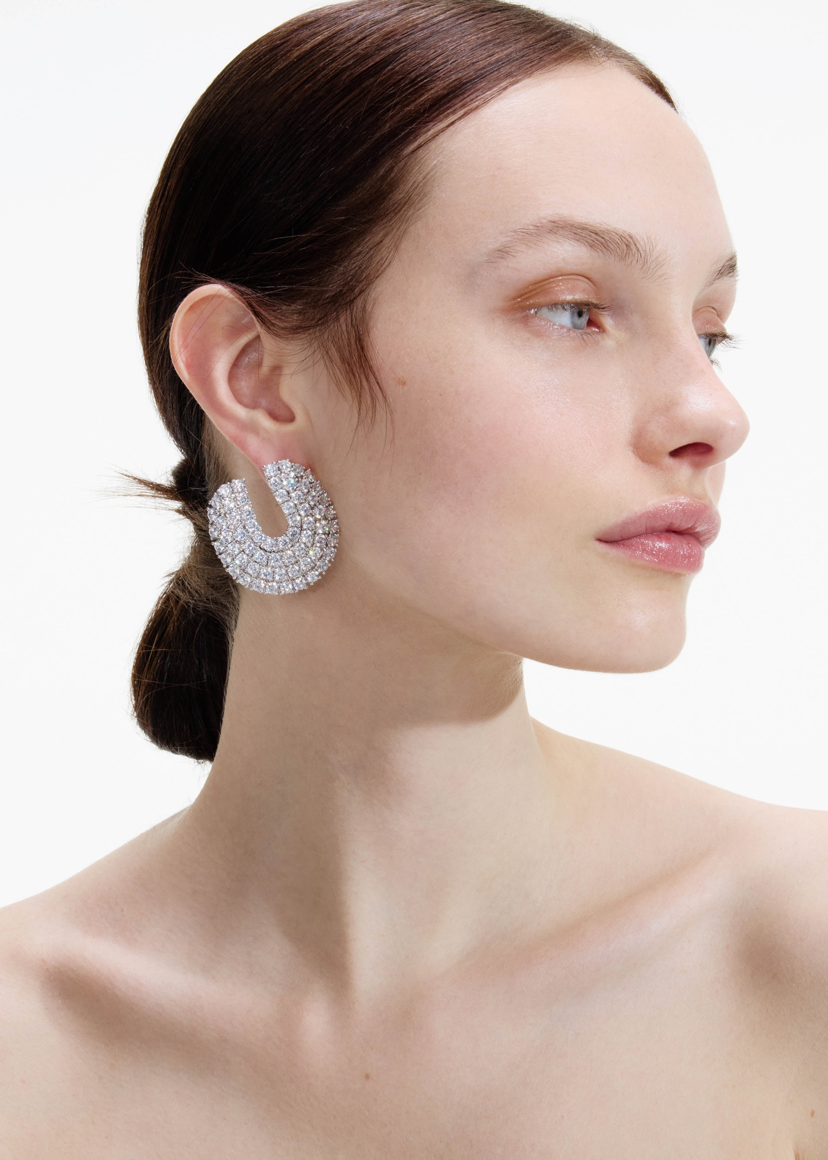 Crystal Curved Earrings