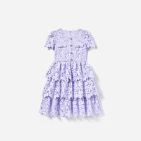 Lilac Butterfly Lace Dress